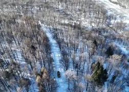 包含岭北雪豹队鏖战岭北暴熊队，高尔夫公开赛失利，核心复出即建功。锋线火力回暖的词条
